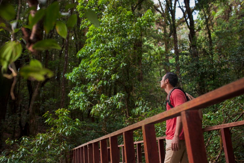 Man pausing on a bridge during a mindful walk in the forest, noticing the good in nature around him.